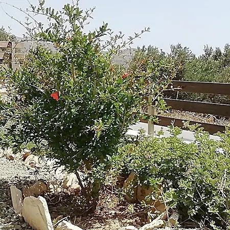 Argyro-triopetra